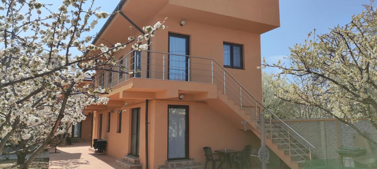 Home Naya Bukareszt Zewnętrze zdjęcie