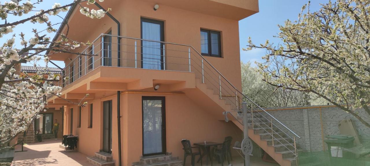 Home Naya Bukareszt Zewnętrze zdjęcie